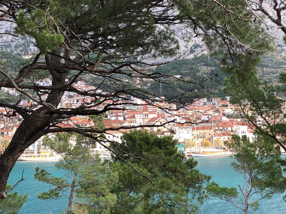 Apartments Drago Makarska Eksteriør bilde